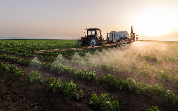 Best Commercial Pest Control Services  in Blue Grass, IA