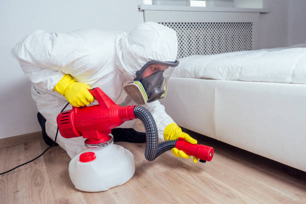 Best Emergency Pest Control  in Blue Grass, IA