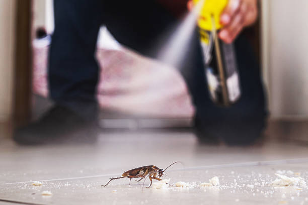 Flea Control Services in Blue Grass, IA